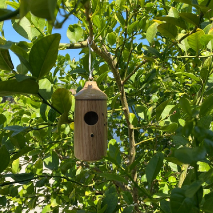 Wooden Hummingbird House
